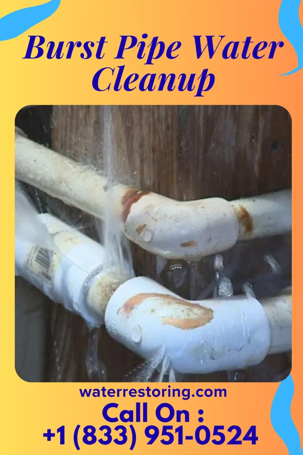 Burst Pipe Water Cleanup in Seven Mile Ford, VA
