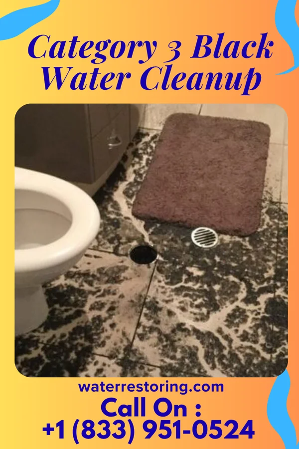Category 3 Black Water Cleanup in Seven Mile Ford, VA