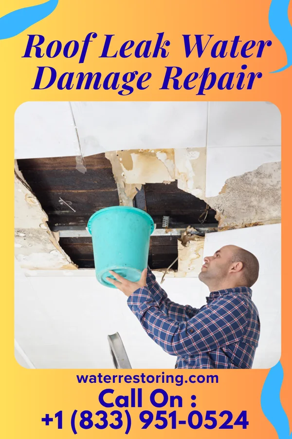 Roof Leak Water Damage Repair in Seven Mile Ford, VA