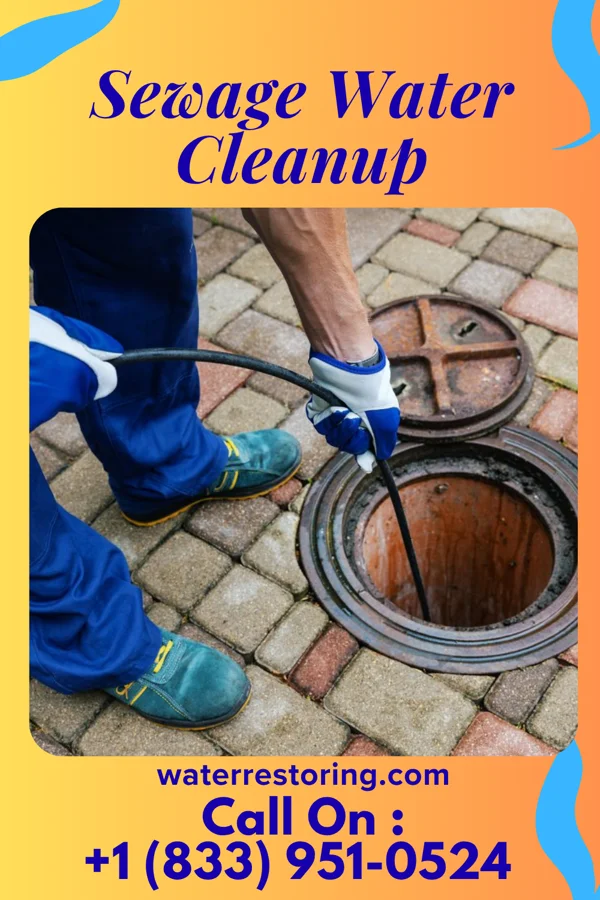Sewage Water Cleanup in Seven Mile Ford, VA